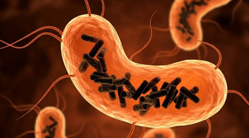 Descubren nuevo microorganismo denominado ‘obelisco’ dentro de bacterias en la boca humana