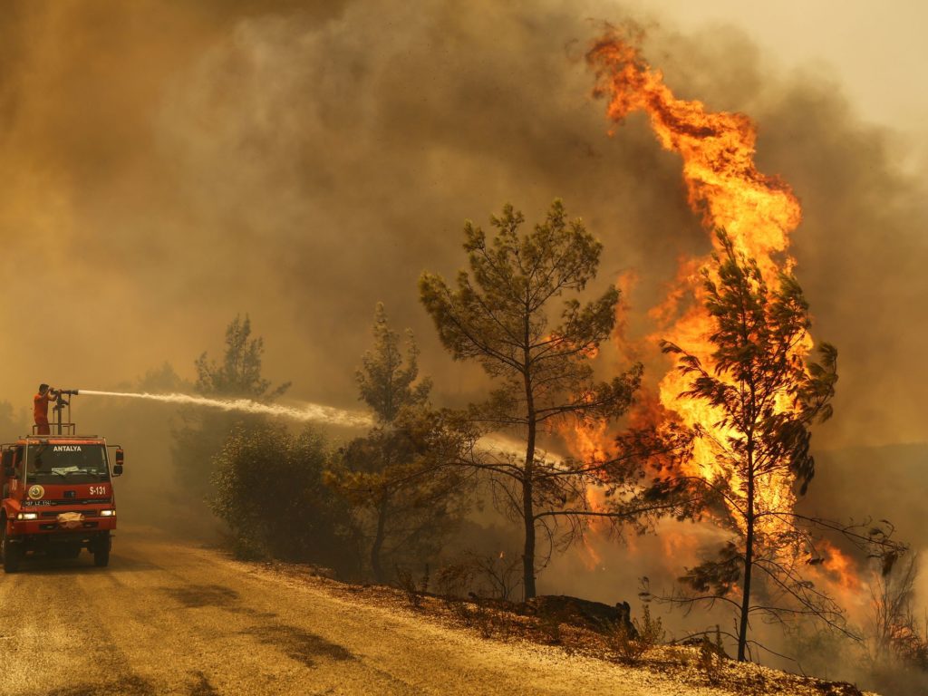 Incendios forestales arrasan con 40.000 hectáreas de la Patagonia argentina
