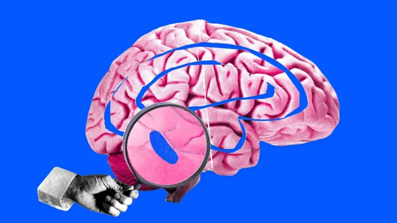 Cómo un pequeño “punto azul” en nuestro cerebro controla el sueño y genera un enorme interés entre los científicos