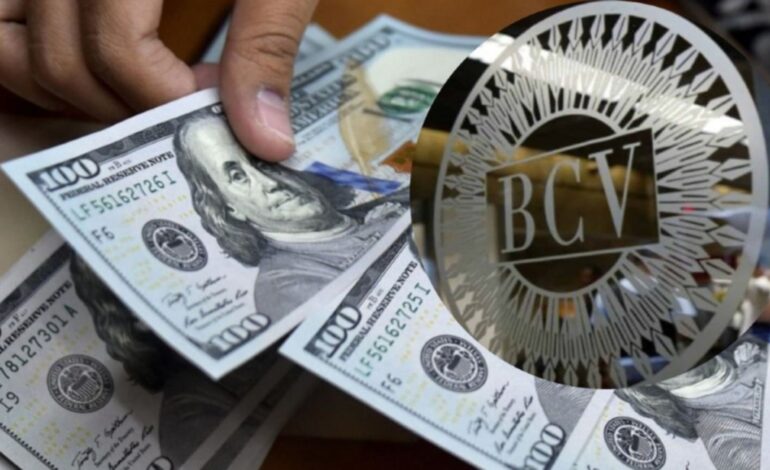 Precio oficial del dólar BCV para este lunes 14 de julio: 115,32 Bs