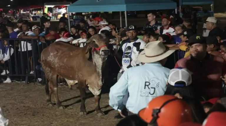 Exitosa inauguración de la Expoferia Agropecuaria, Turística y Artesanal Chichiriviche 2025 en Falcón