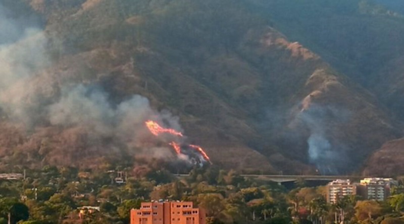 Más de 20 incendios de vegetación se han registrado en el país