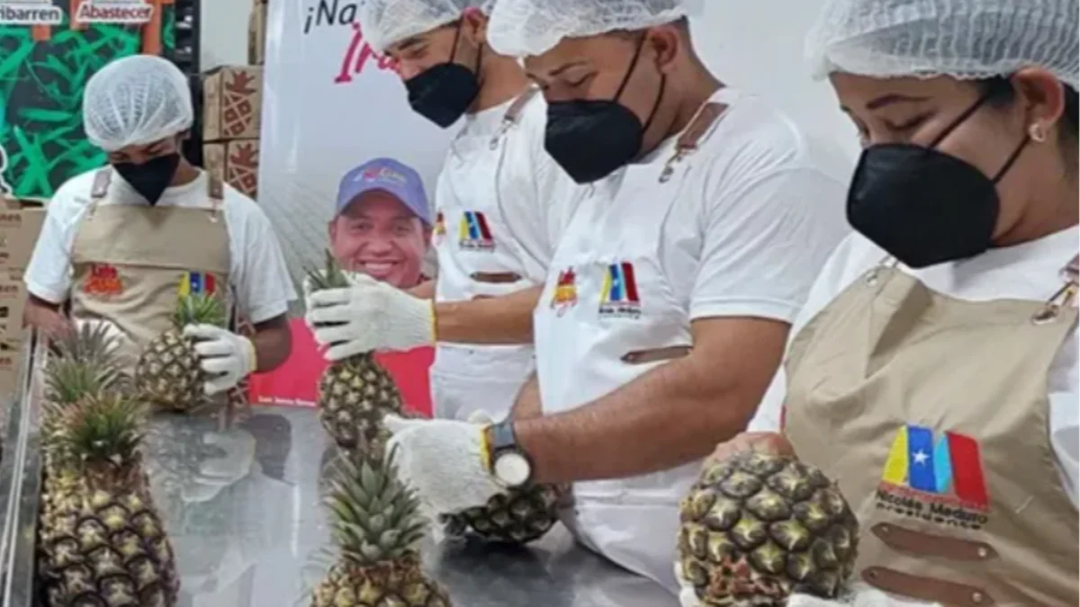 Venezuela exporta piña guara a Barbados para su procesamiento en salsas y derivados