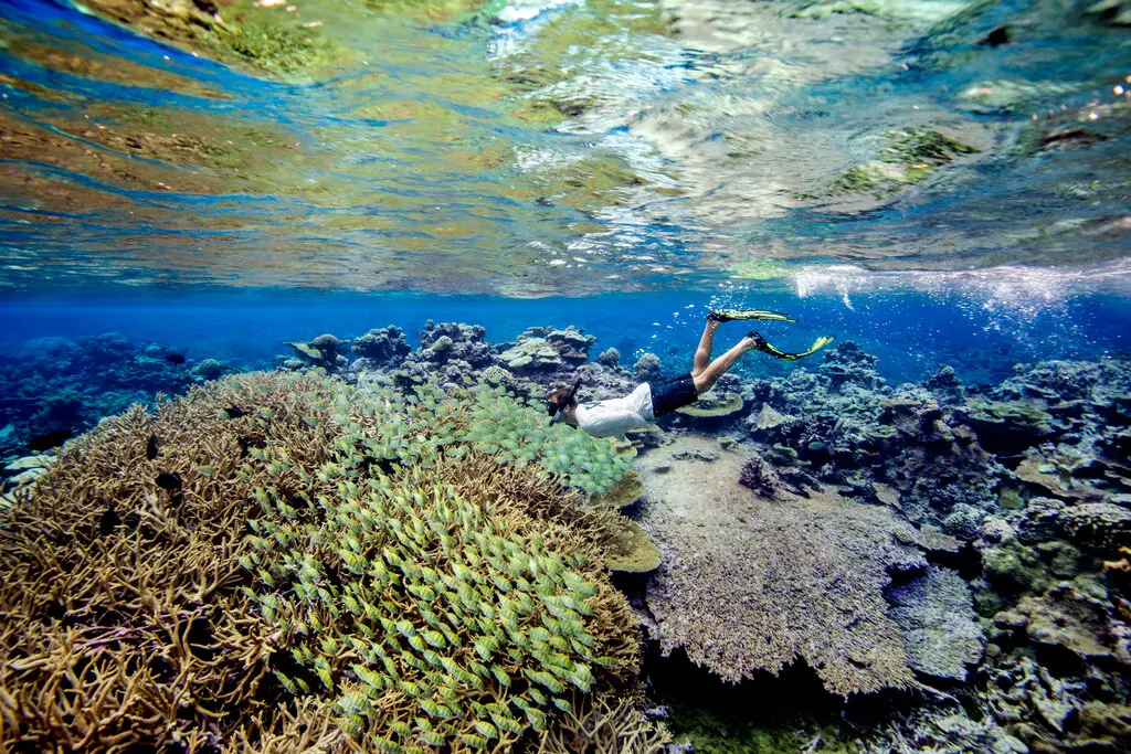 Trump abre zona marina protegida del Pacífico a la pesca industrial en nombre del “liderazgo” de EE.UU.