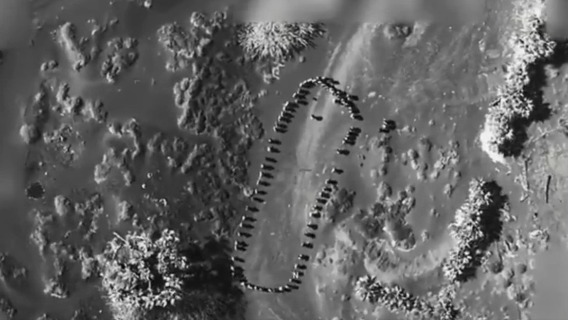 “¡Nunca más hundirán nuestros barcos!”: Trump se jacta de un ataque contra los hutíes