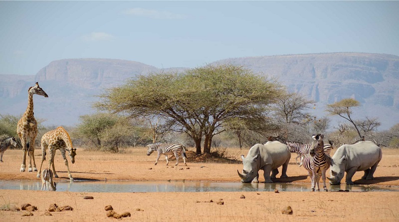 Sudáfrica lanza herramienta digital para análisis ambiental