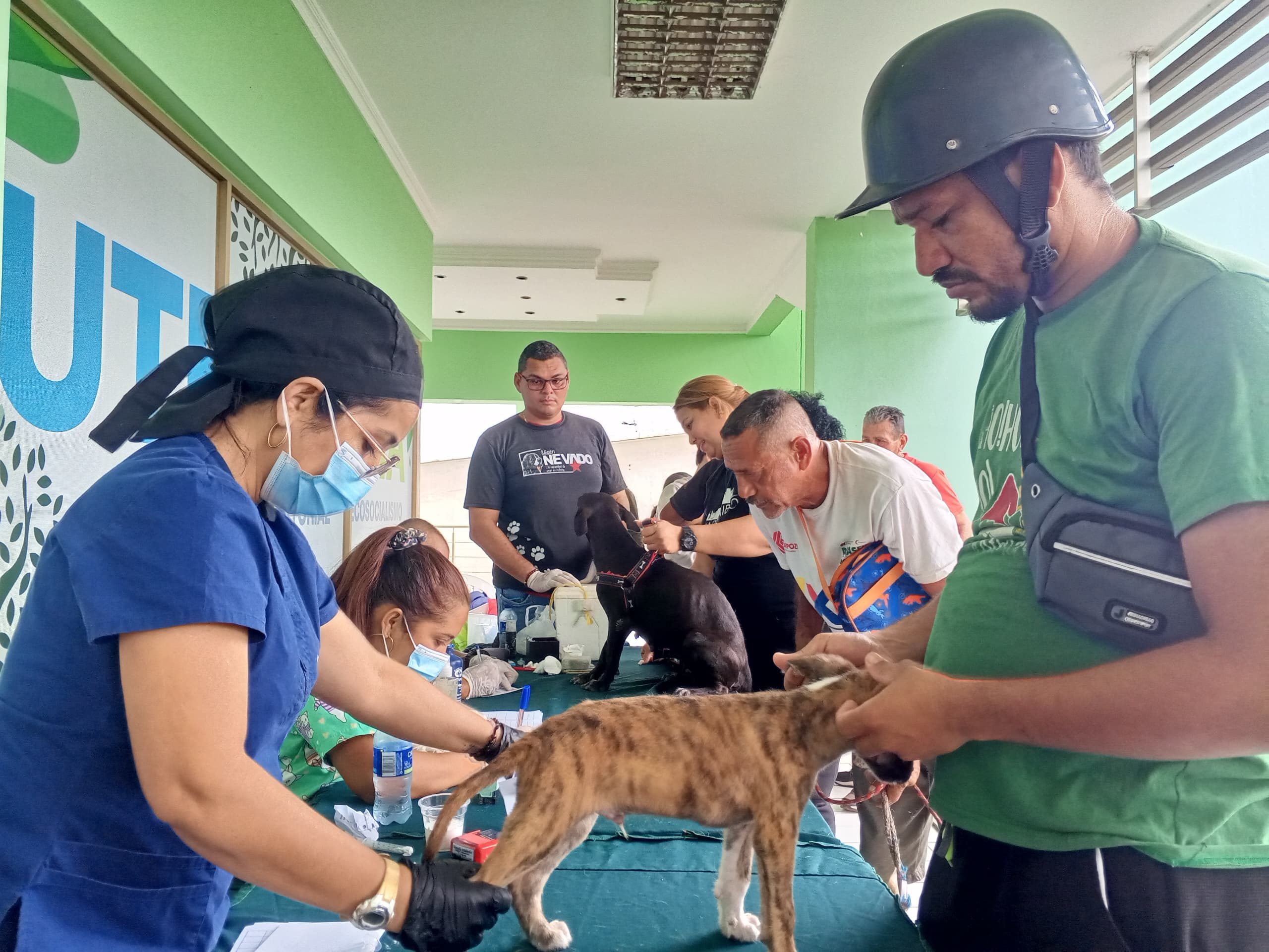 Minec realiza Jornada de Atención Veterinaria junto a Misión Nevado