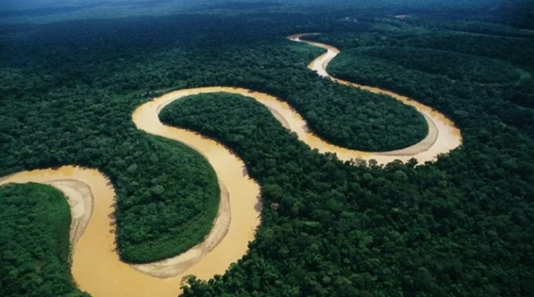 Venezuela participa en Foro de Ministras y Ministros de Ambiente de países Amazónicos