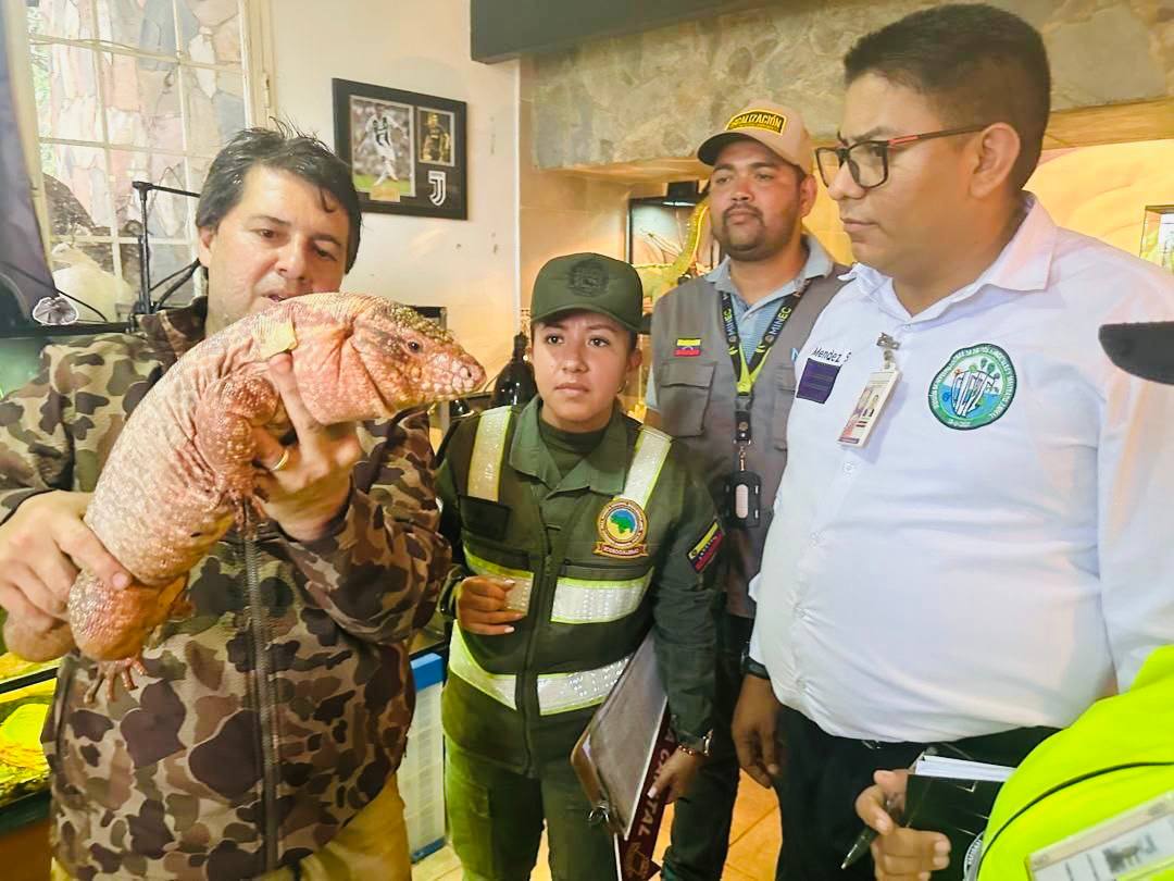 Decomisan en Venezuela más de mil ejemplares de fauna silvestre en 124 operativos de fiscalización