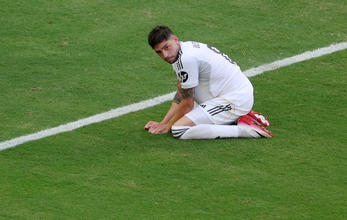 El elefante en la habitación