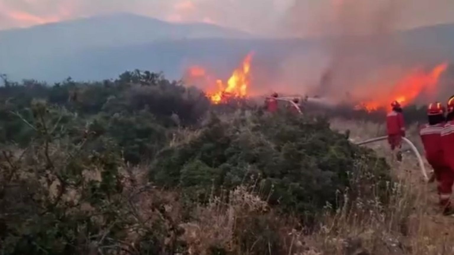 Albania y Bulgaria piden a ayuda a la UE para hacer frente a los incendios
