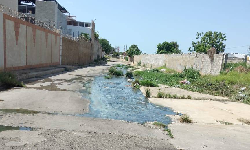 Familias de Monte Bello denuncian colapso de aguas servidas por más de dos años