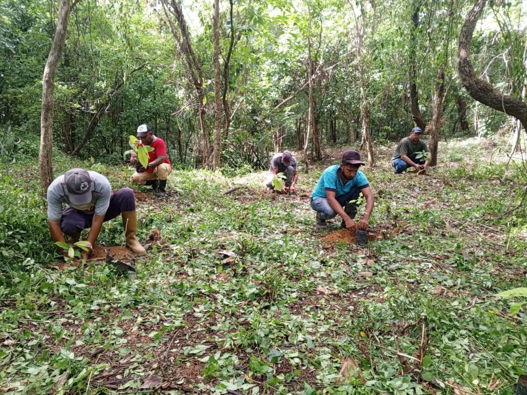 Conare Zulia avanza en la Reforestación Productiva en la Represa Burro Negro