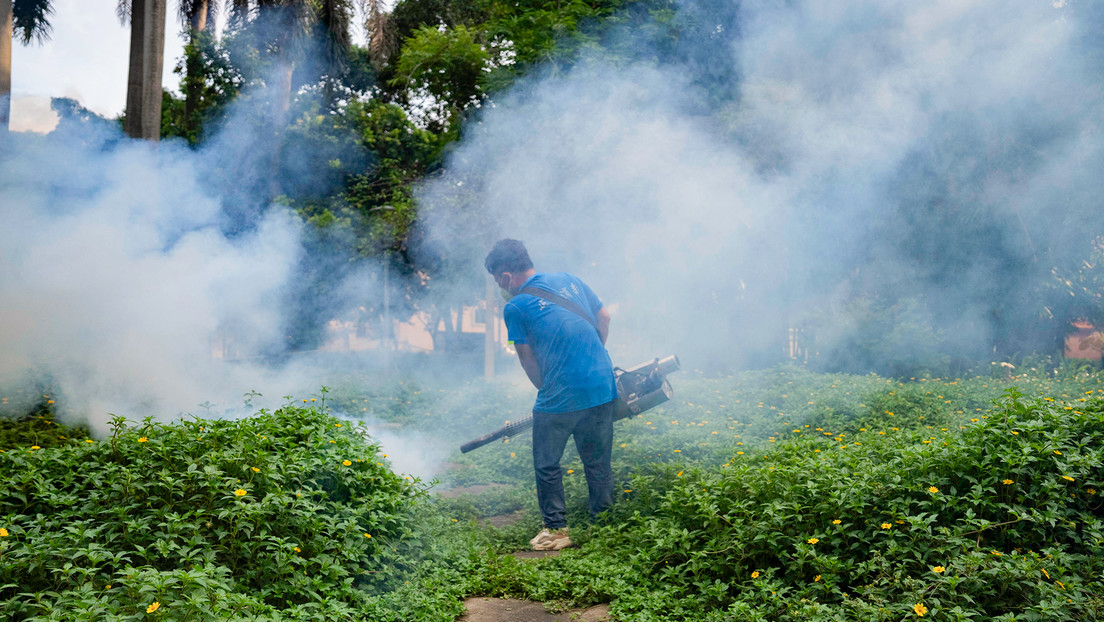 El brote de chikungunya en China deja más de 1.300 nuevos casos en una semana