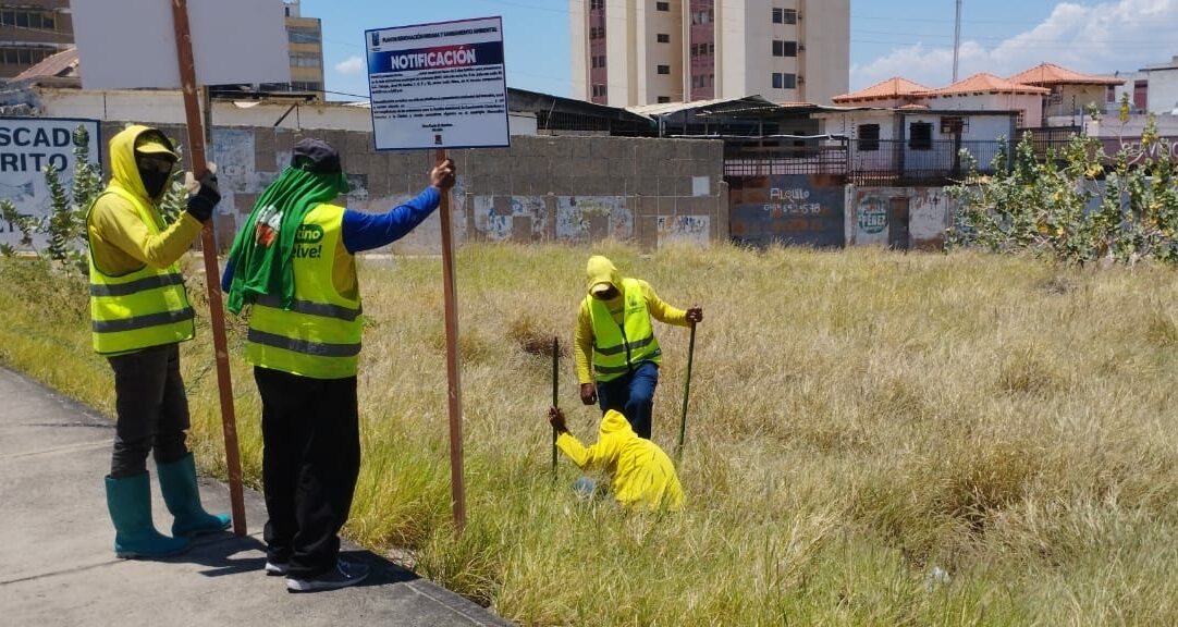 IMA insta a propietarios de terrenos abandonados a regularizar su situación para cumplir con la Ordenanza Ambiental