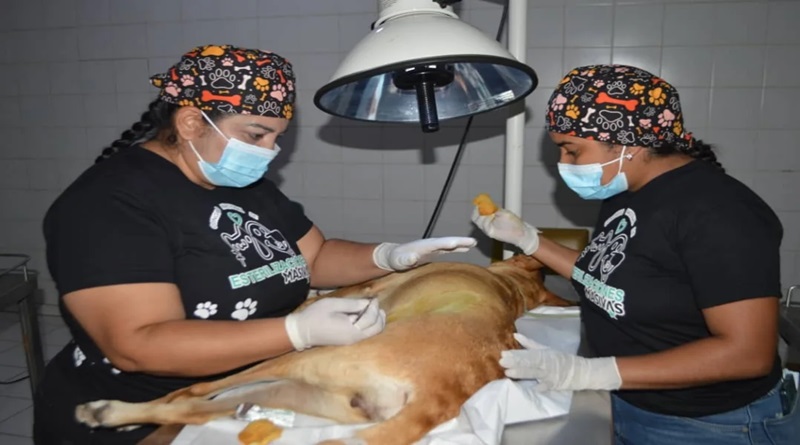 Reinauguran Centro Veterinario “Nuevo Circo” para Fortalecer la Atención Animal a Nivel Nacional