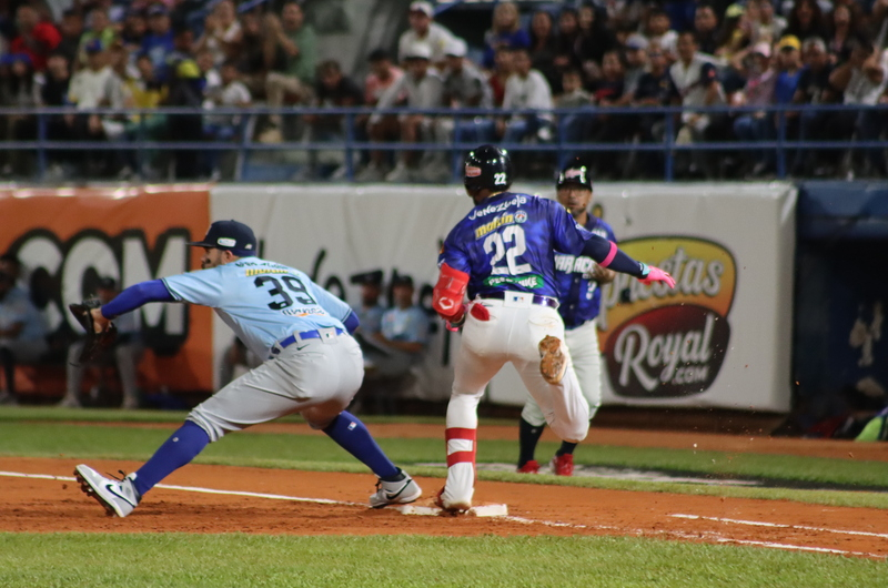 Tigres blanquea a Magallanes y consolida su liderato