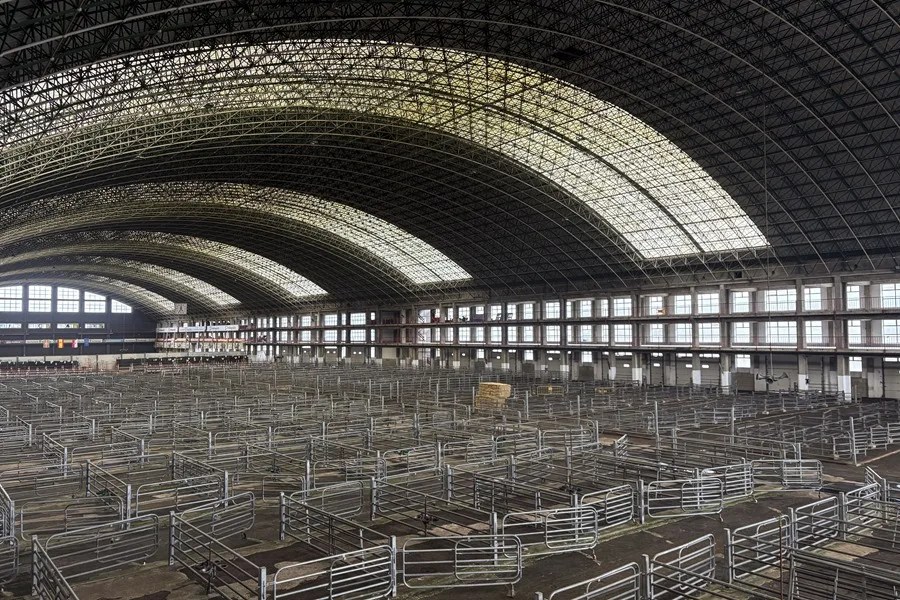 China impondrá cuotas y aranceles adicionales del 55 % al vacuno importado desde 2026