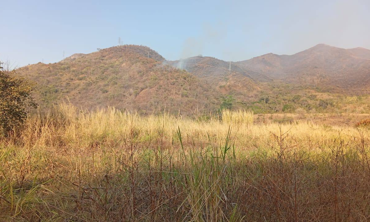 Controlan y liquidan nuevo incendio en el Parque Nacional Henri Pittier de Aragua