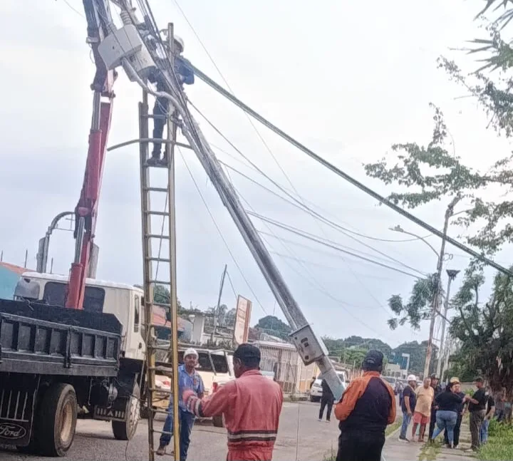 Desplome de postes eléctricos deja sin servicio a 47 familias en Rancho Grande, Mene Grande