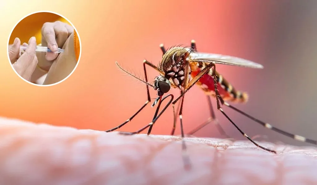 Venezuela lanza campaña urgente de vacunación ante brote de Fiebre Amarilla en cuatro estados